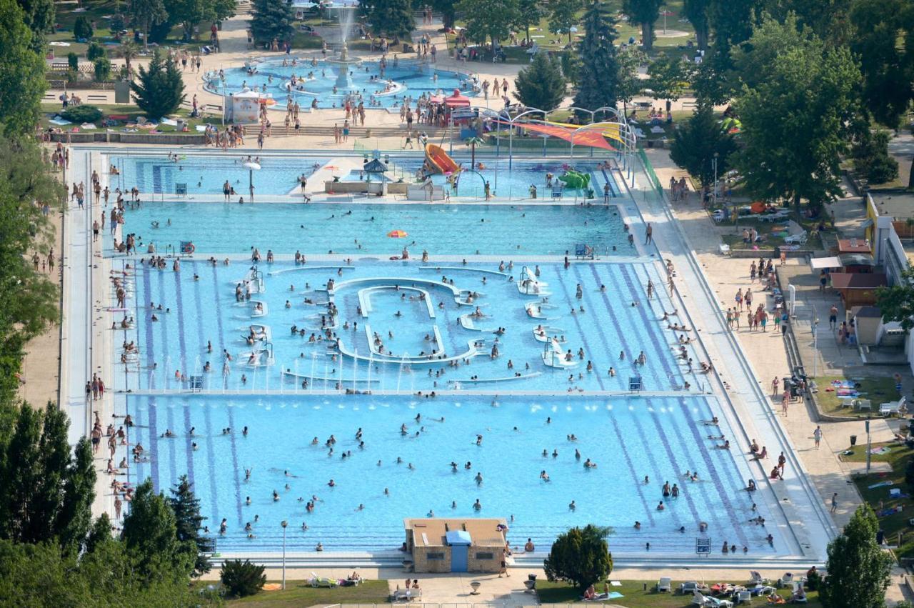 Island Hostel Budapest (Adults Only) Ngoại thất bức ảnh Aerial view of the swimming pool