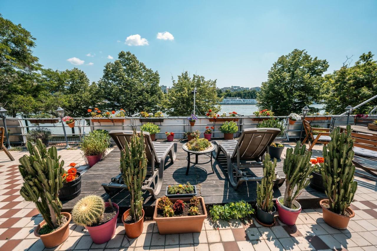 Island Hostel Budapest (Adults Only) Ngoại thất bức ảnh Rooftop garden